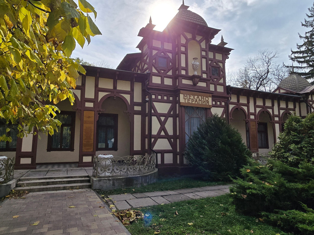 Tsanderovskiy Institute of Mechanotherapy-Essentuki必去景点