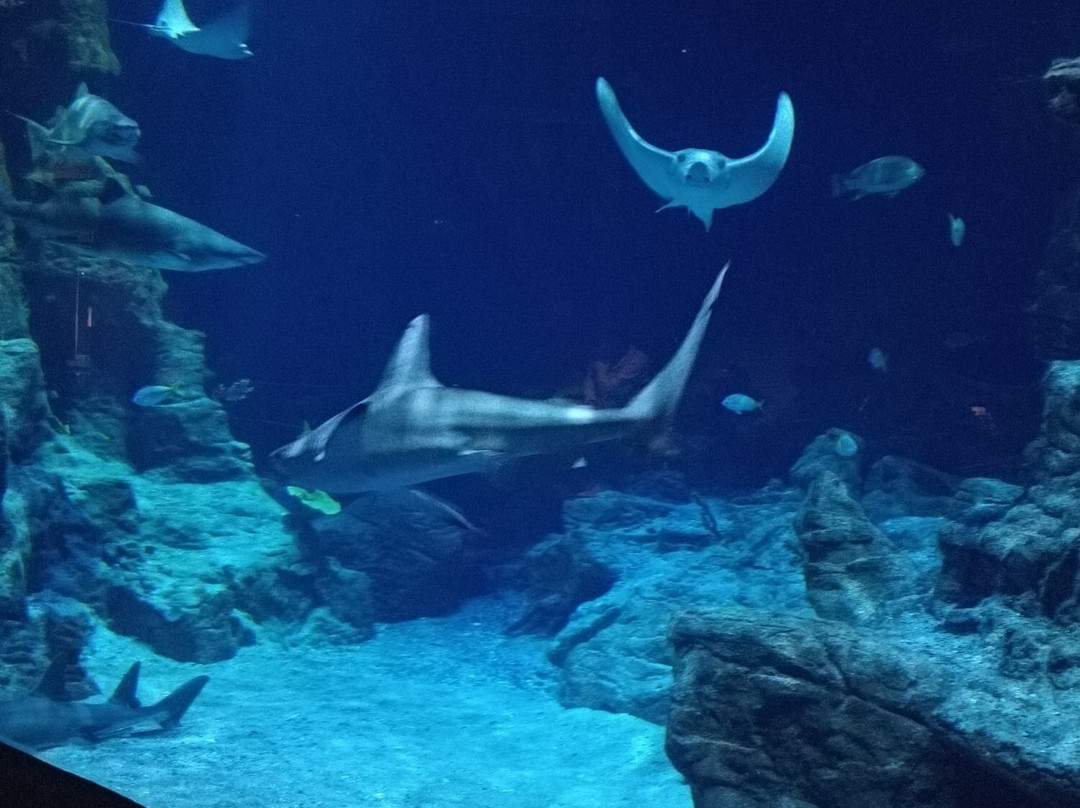 Planet Ocean Montpellier-蒙彼利埃必去景点