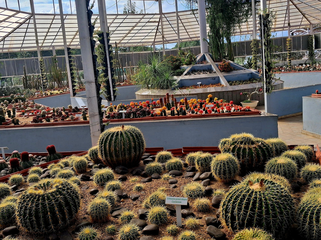 Cactus Garden-Kevadia必去景点