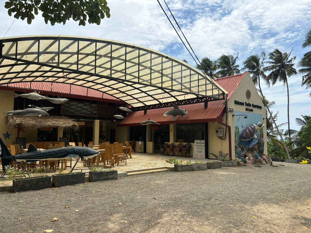 Turtle Conservation Project Turtle Watch-Rekawa必去景点