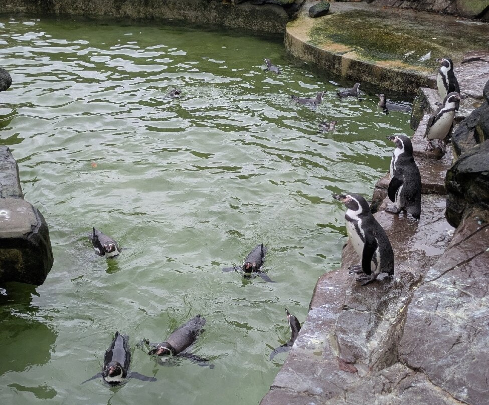 Peak Wildlife Park-Winkhill必去景点