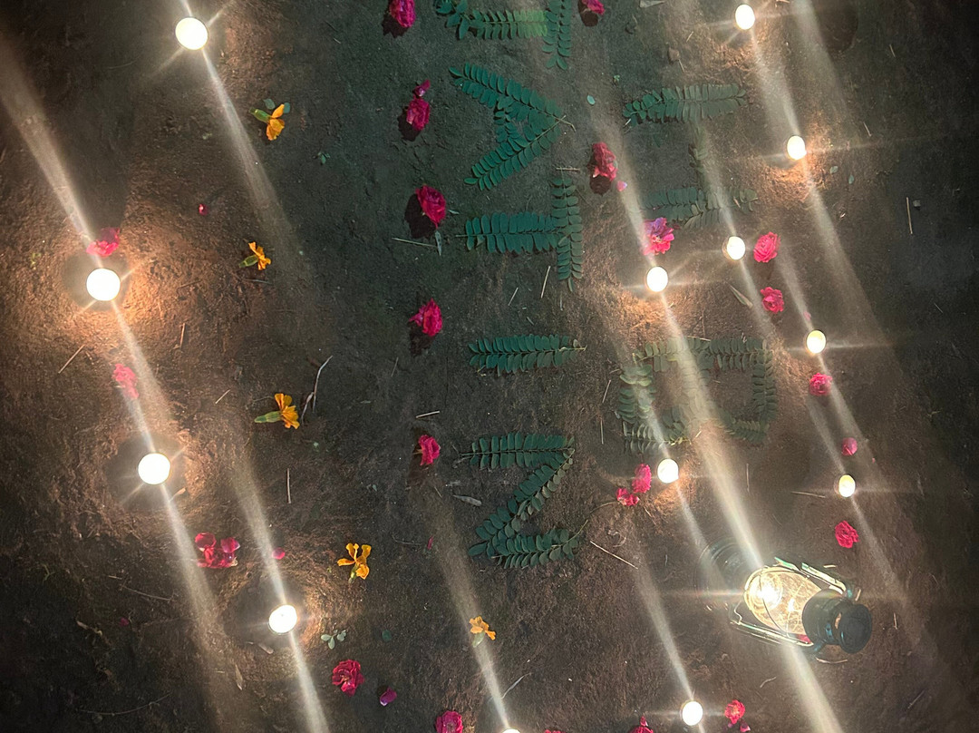 Mahua Kothi, A Taj Safari - Bandhavgarh National Park主图