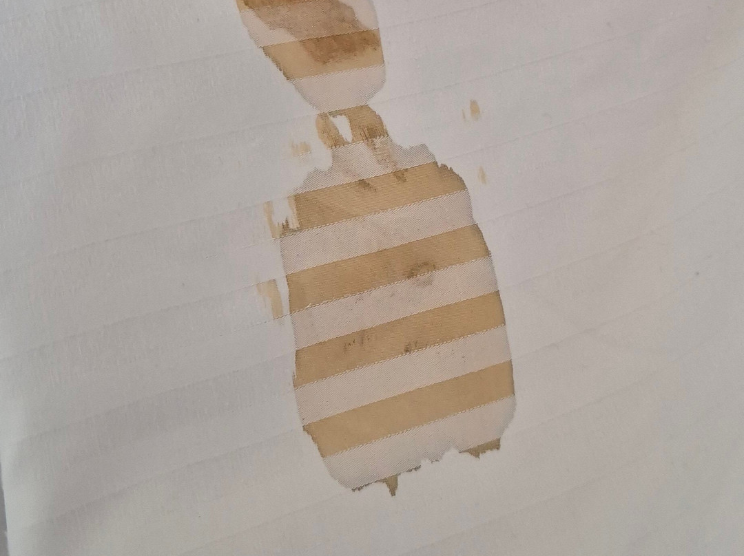 亚历山大浪漫克尼奇酒店主图