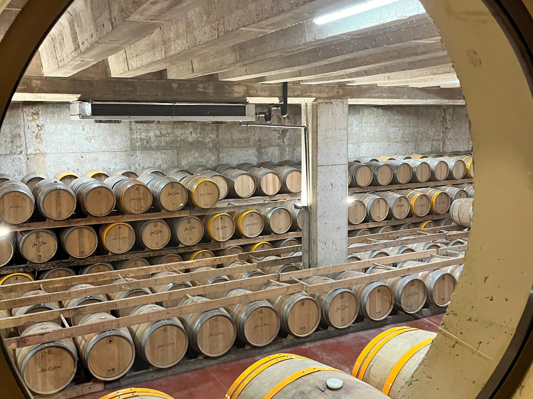 Bodegas Jose L Ferrer-Binissalem必去景点