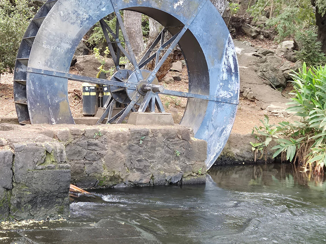 PIKPIK Tours-圣亮必去景点