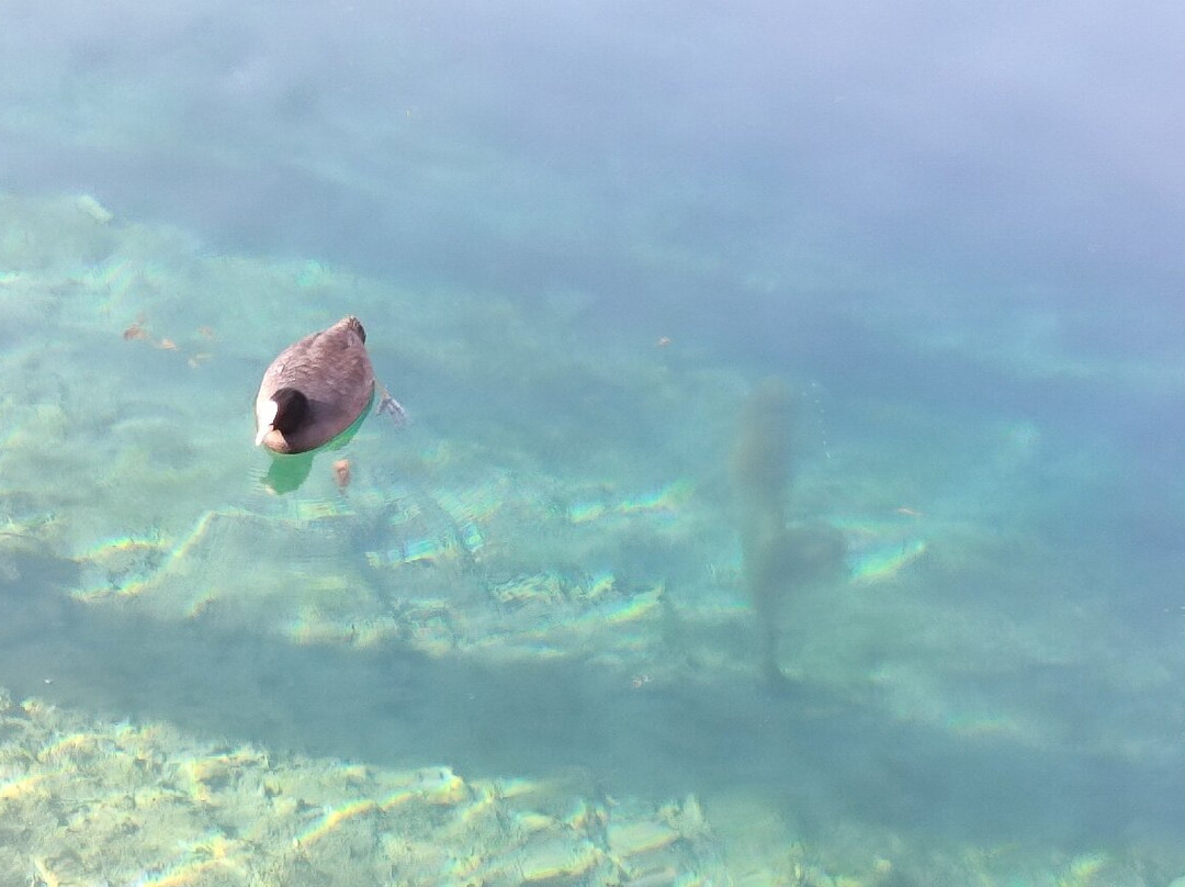 Lago di Posta Fibreno-Posta Fibreno必去景点