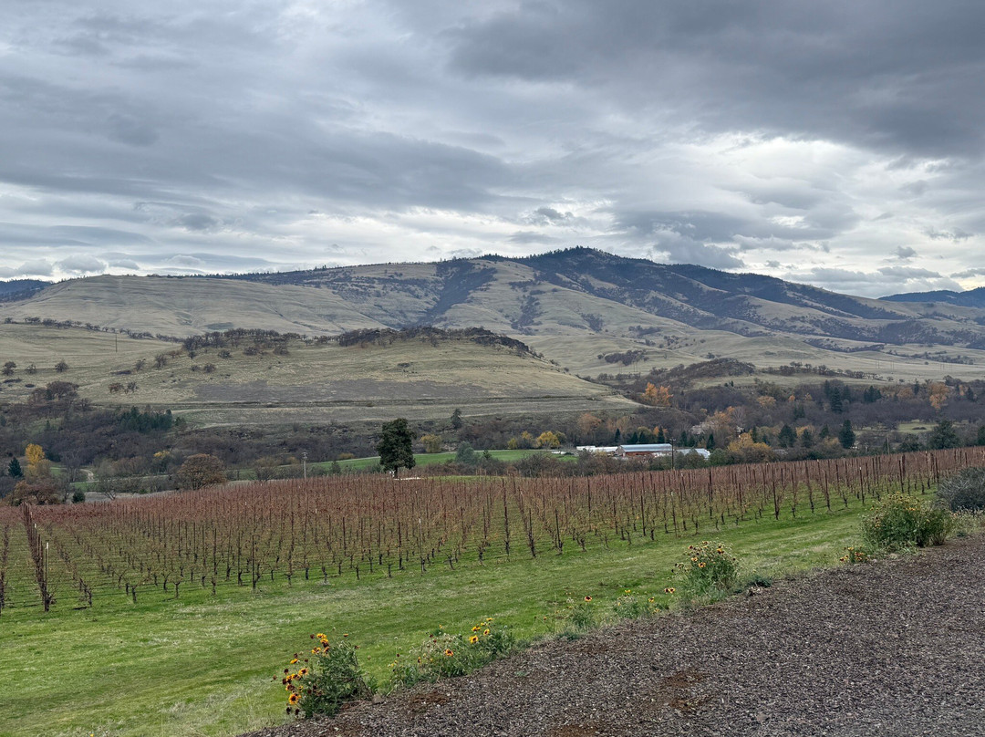 Irvine & Roberts Vineyards-阿什兰必去景点