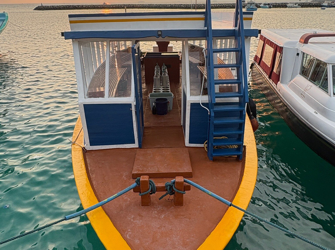 DivePoint Guraidhoo-康杜玛岛必去景点