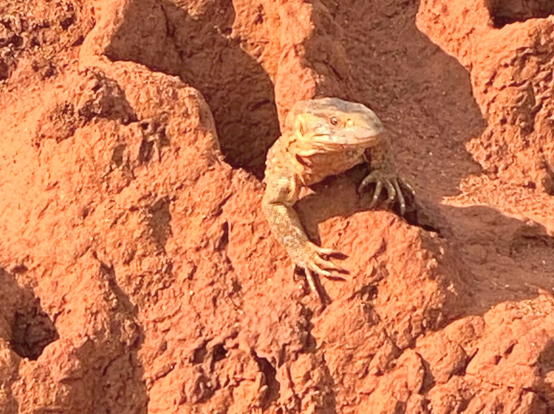 Aqua Paradise Safaris Day Tours-乌库达必去景点