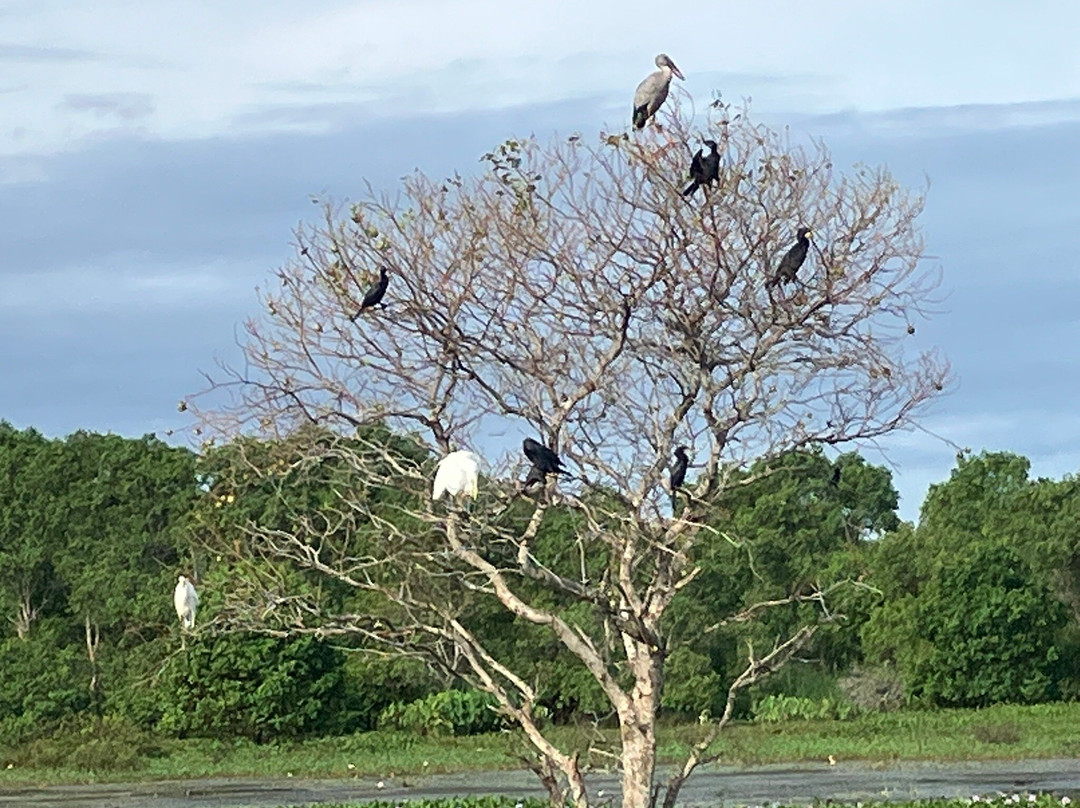 Kalametiya Lagoon Bird Sanctuary & Wetland Park-Kalametiya必去景点