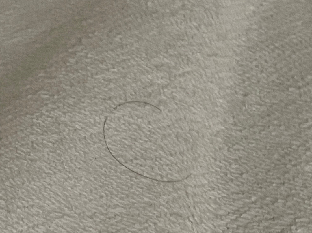 Green Bird Inn主图