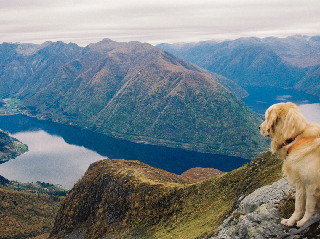巴莱斯特兰酒店主图