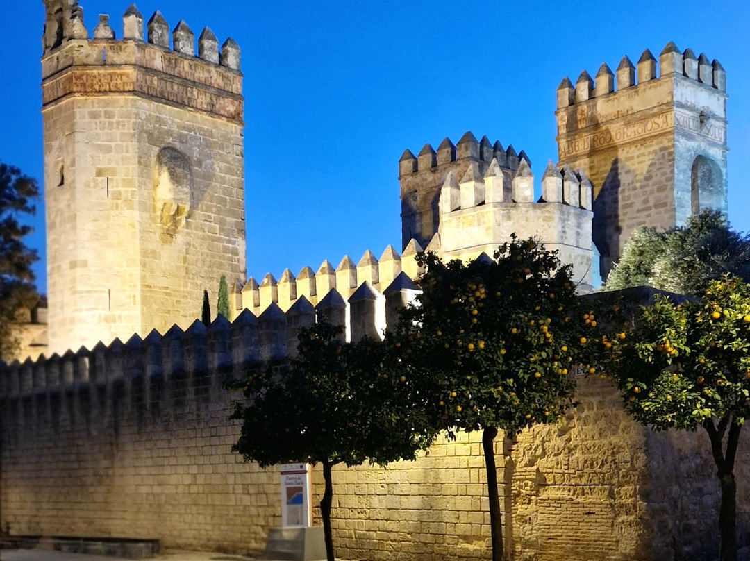 ALEGRIA Bodega Real主图