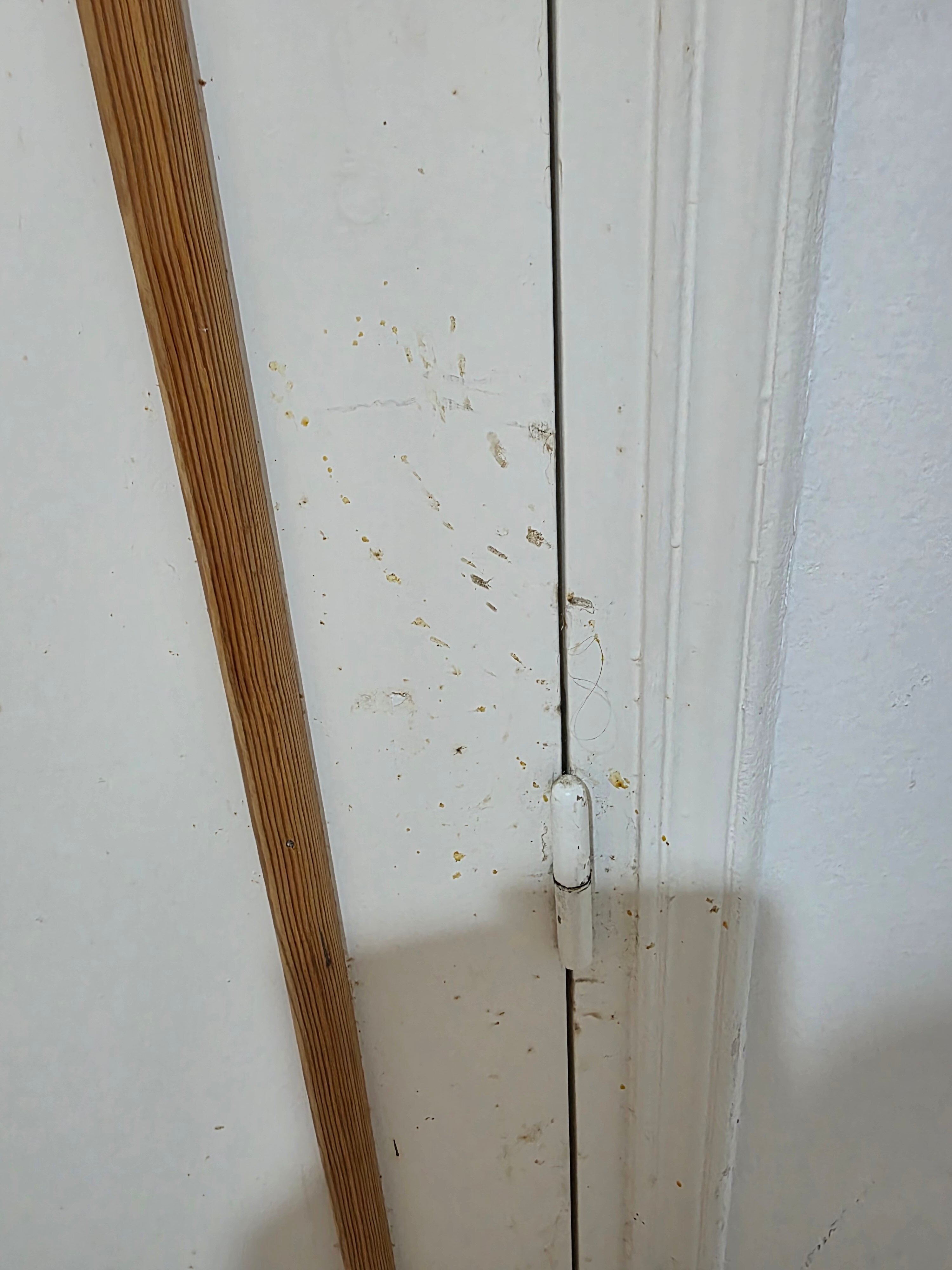 Neptunia Beach-官方