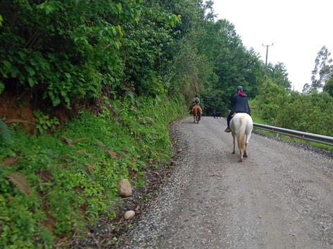 Cabalgatas Mayin-Cunco必去景点