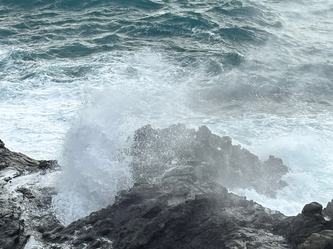Aloha Shaka Tours-火奴鲁鲁必去景点