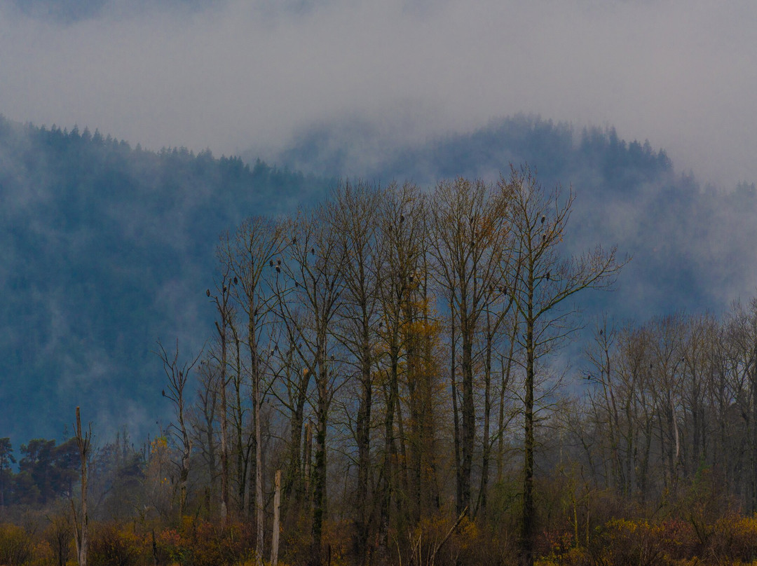 Shoreline Tours-哈里逊温泉必去景点