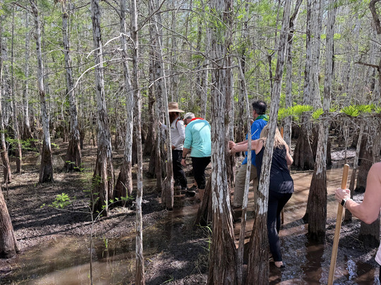Everglades Institute-霍姆斯特德必去景点