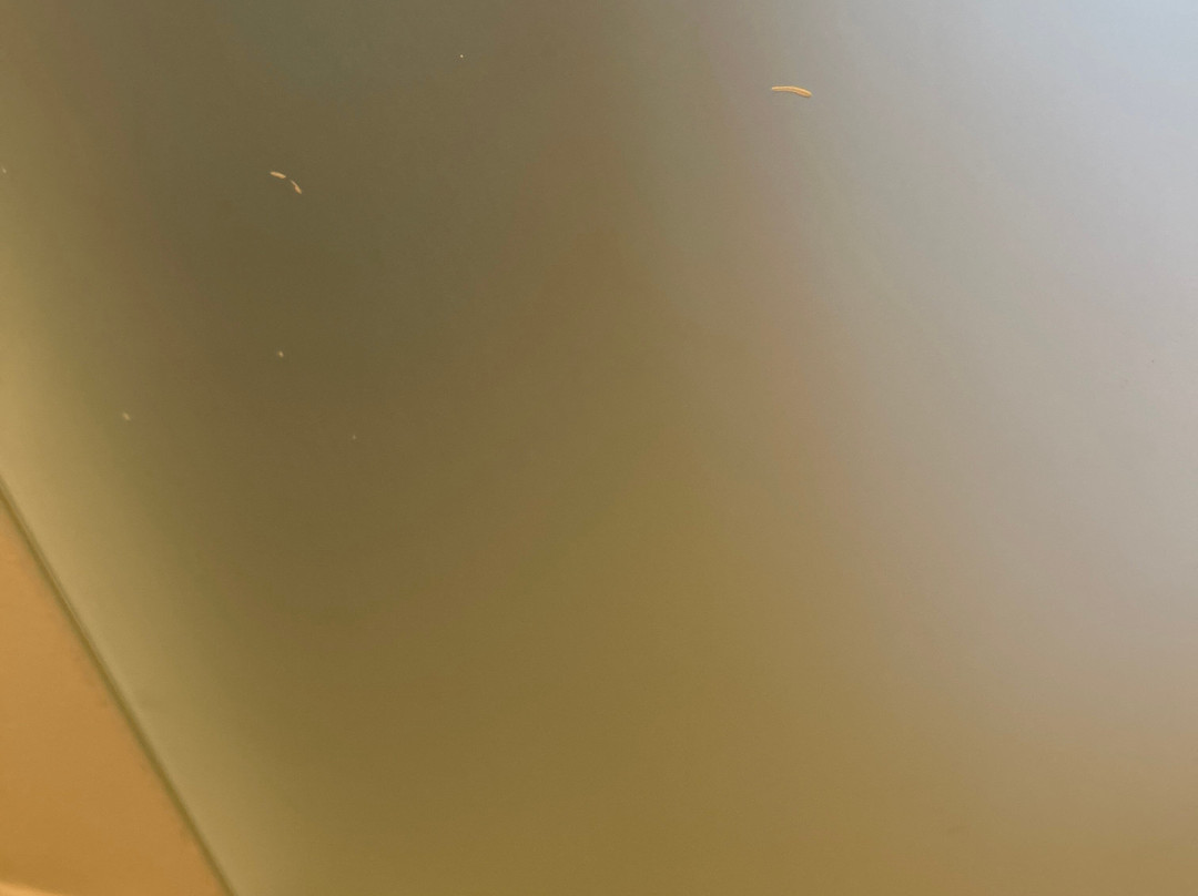 Vidanta Nuevo Vallarta-新瓦雅塔必去景点