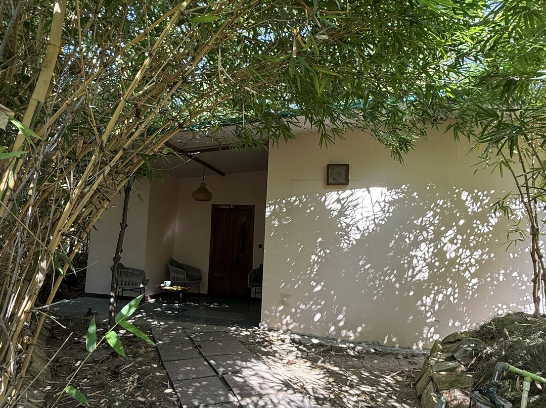 Tadoba Jungle Camp - Jungle Camps India主图