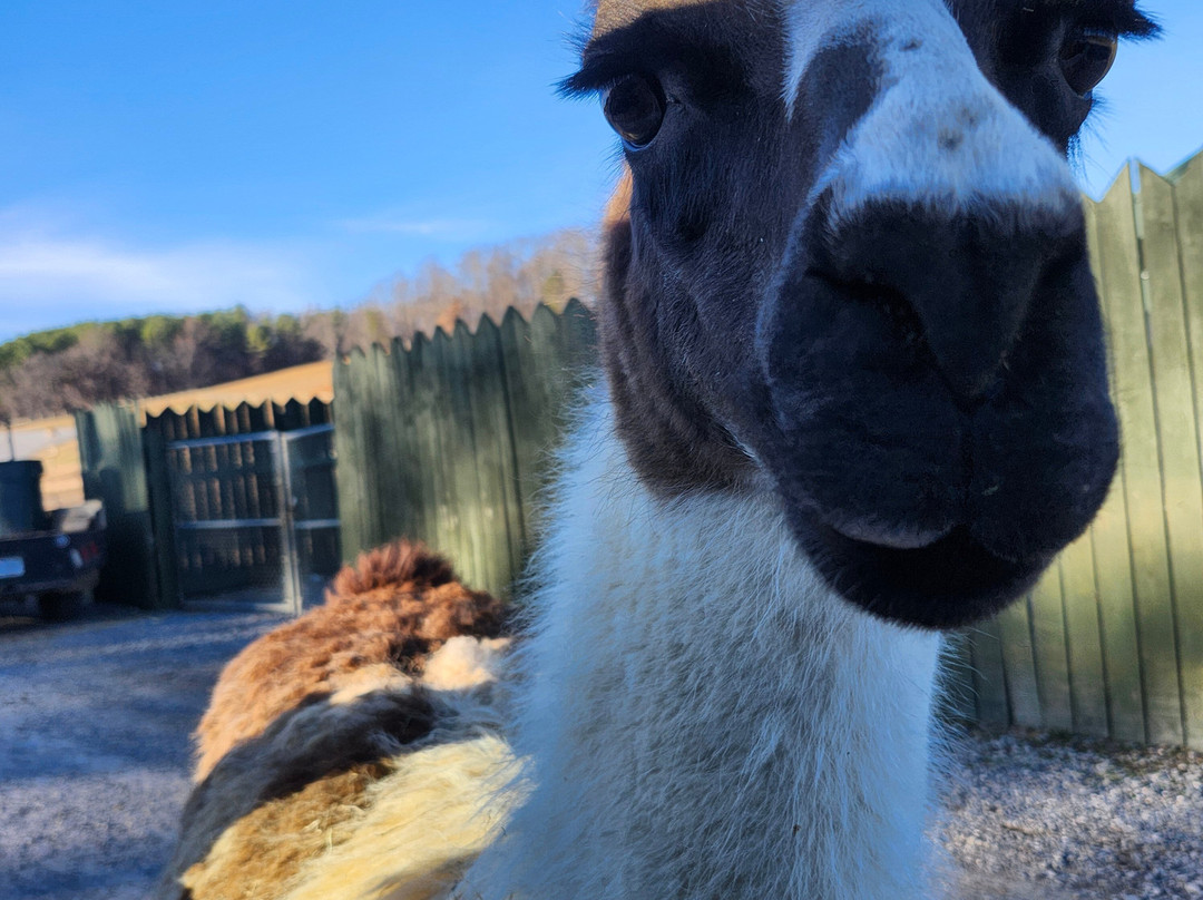 弗吉尼亚游猎公园-天然桥必去景点