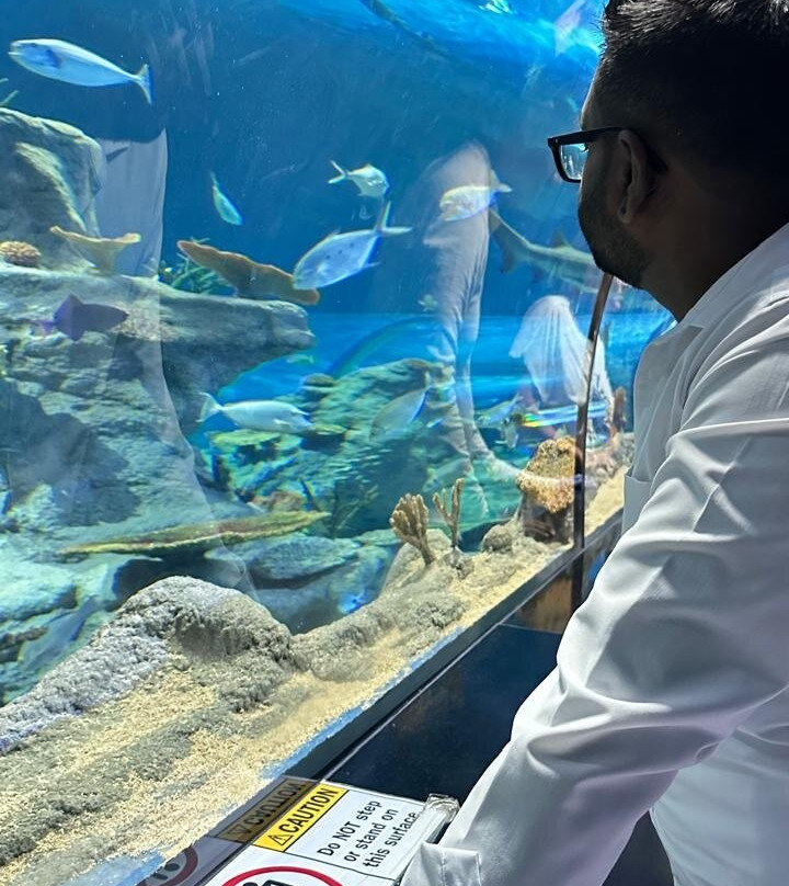 Odysseo Oceanarium Mauritius-路易士港必去景点