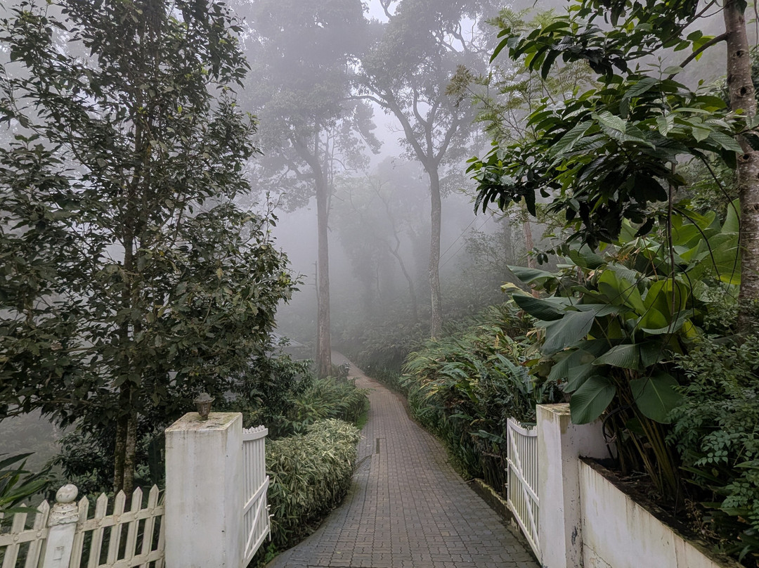 31st December Farms & Estates Munnar主图