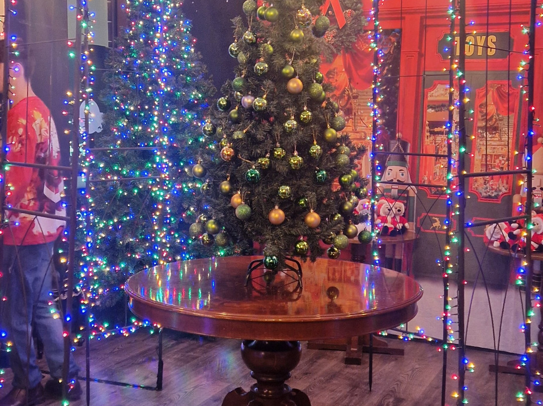 Magic Alley Stratford upon Avon-埃文河畔斯特拉特福必去景点