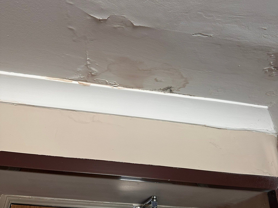 Bowfield Hotel主图