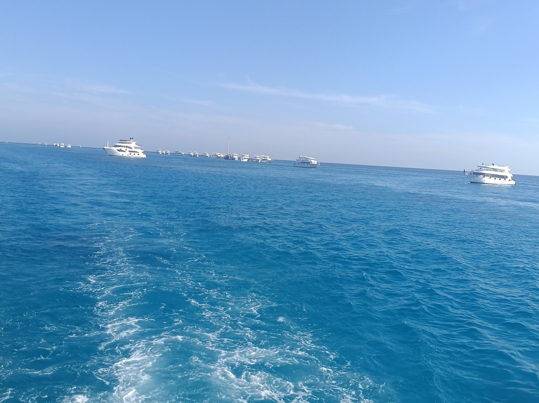 Manta Divers Sharm-沙姆沙伊赫必去景点