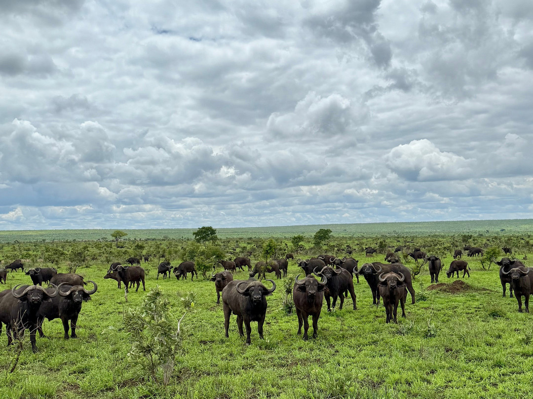 Sentashya Safaris-玛洛斯帕克必去景点