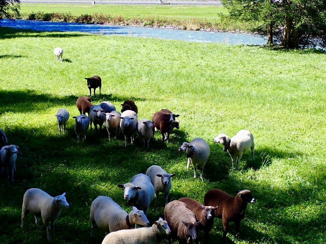 GWunderwald Heidboden Davos-达沃斯必去景点