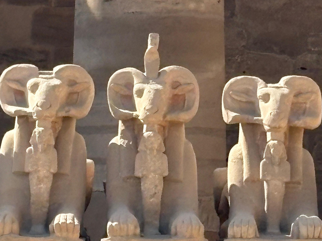 Cairo Top Tours-开罗必去景点