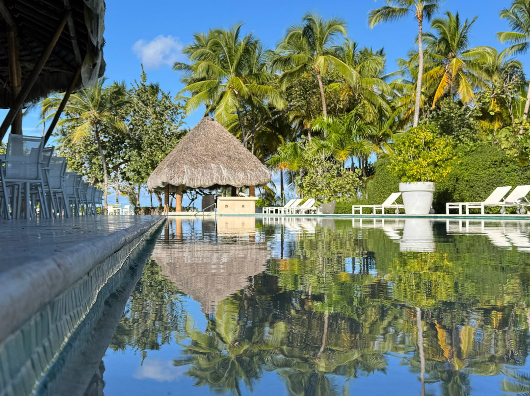 El Portillo Residences by Mint主图