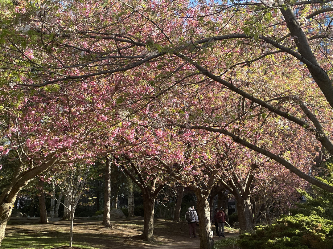 Kariya Park-米西索加必去景点
