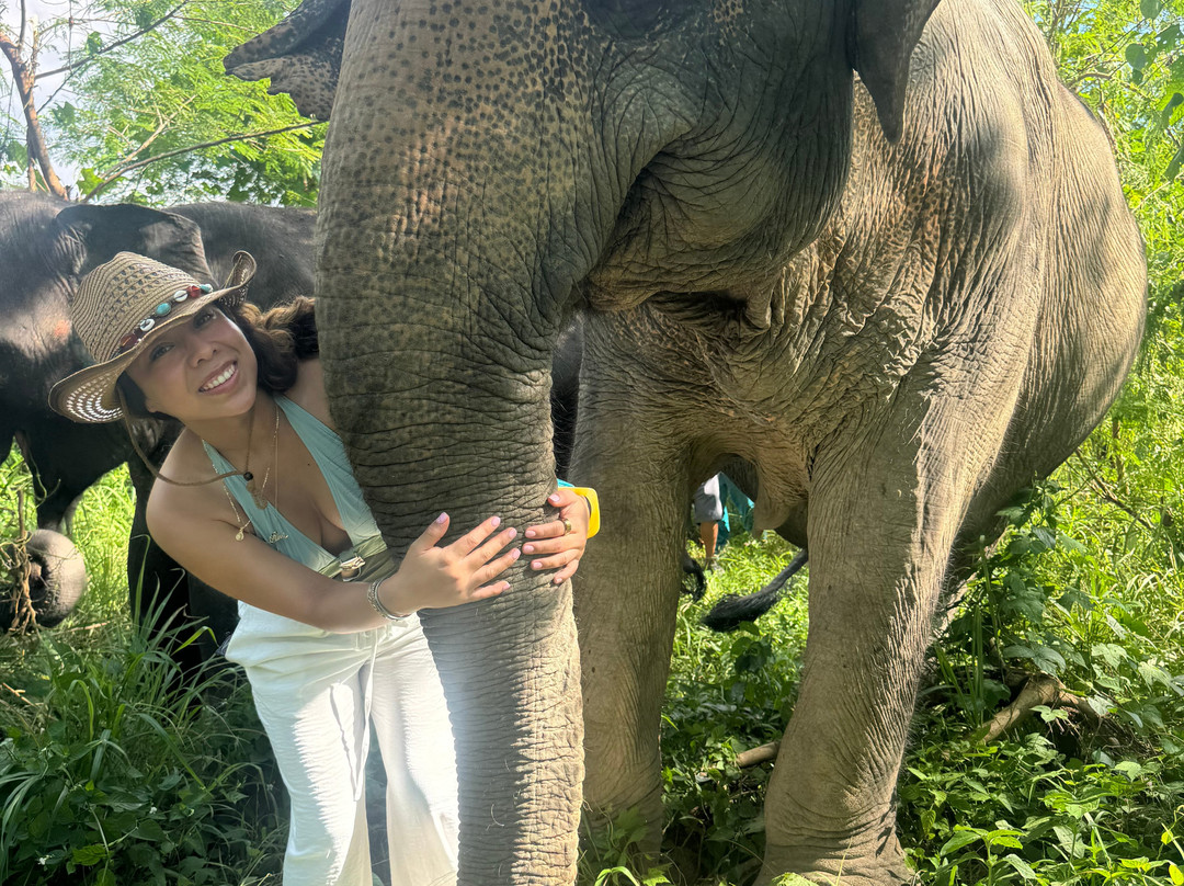 The Lake Phuket Elephant Home-Thep Krasatti必去景点