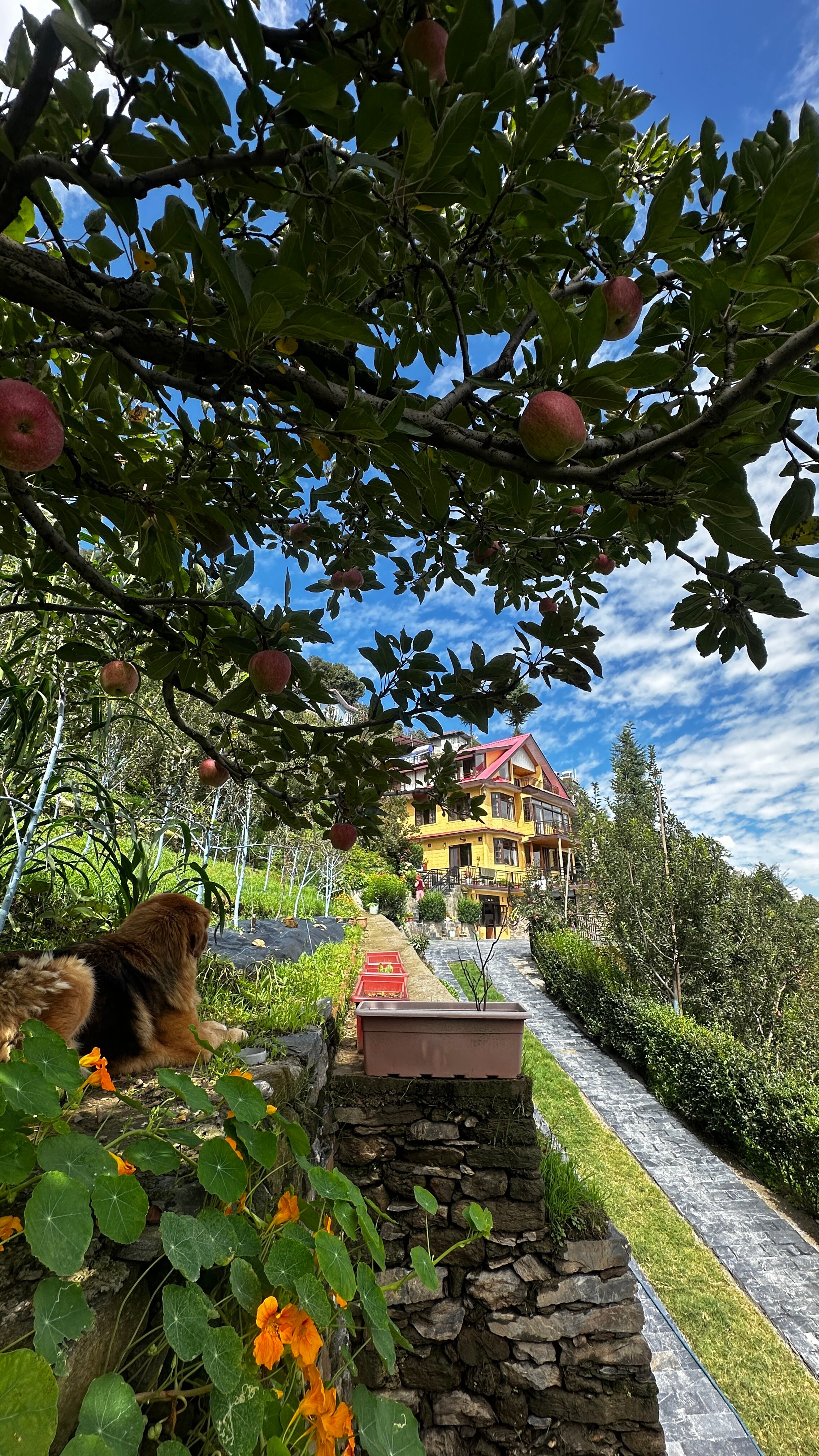 Deodar Cottage-A Boutique Farm Stay-浴室