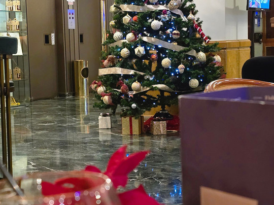 萨沃伊酒店主图