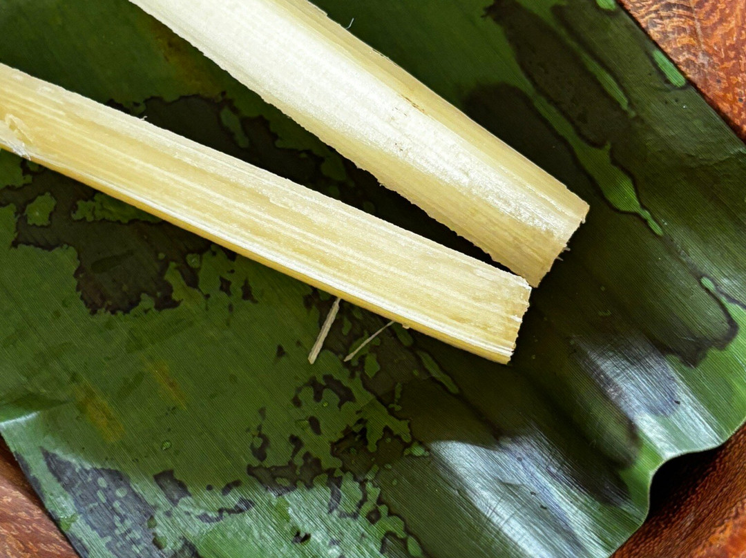 Cafe & Cacao Tour Bijagua-Bijagua de Upala必去景点