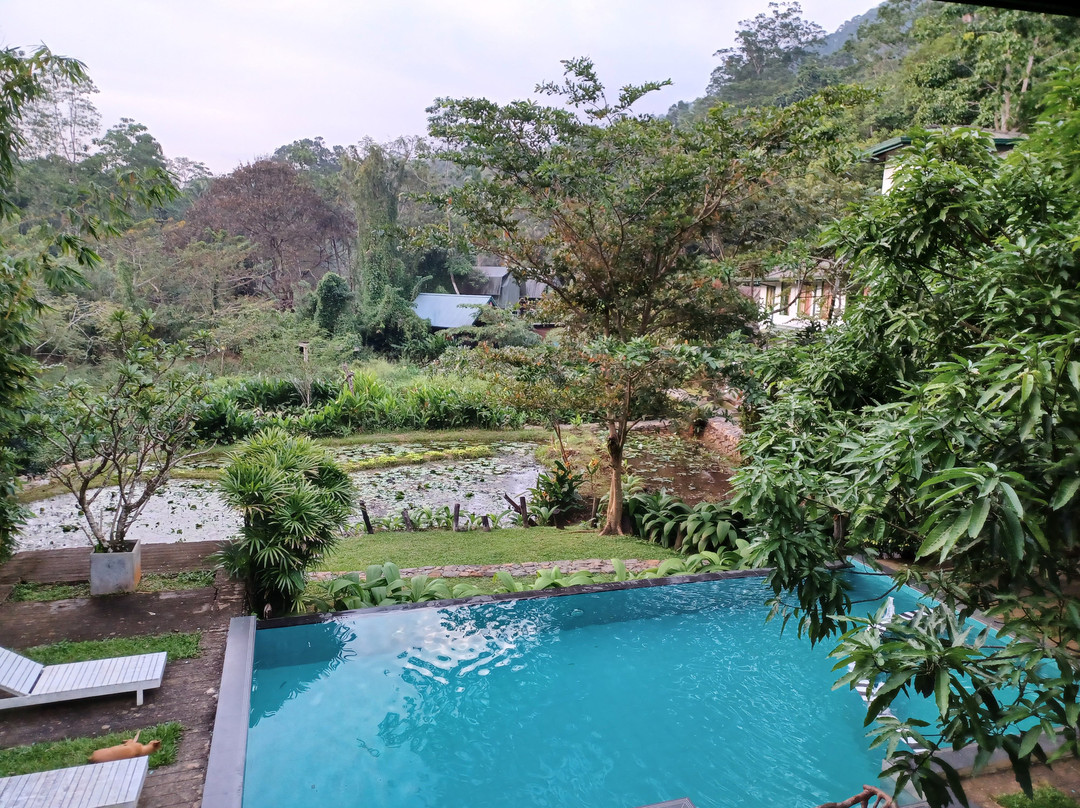 Sinharaja Forest Edge主图