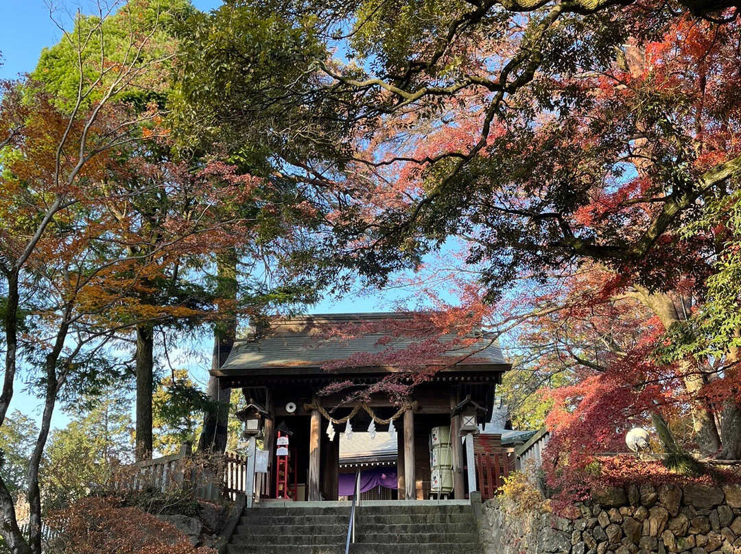 Karasawayama Jinja Shrine-佐野市必去景点