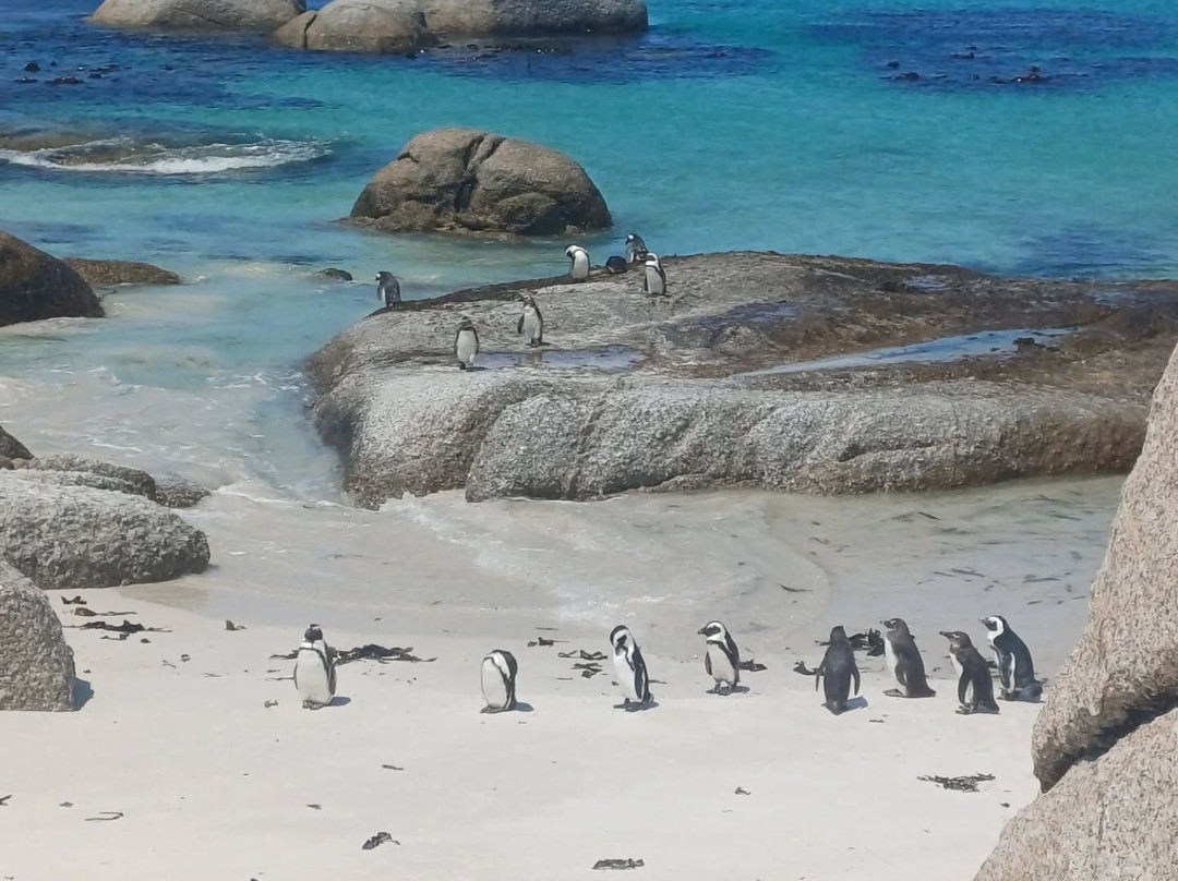 Cape To Grape Wine Tours-Rawsonville必去景点