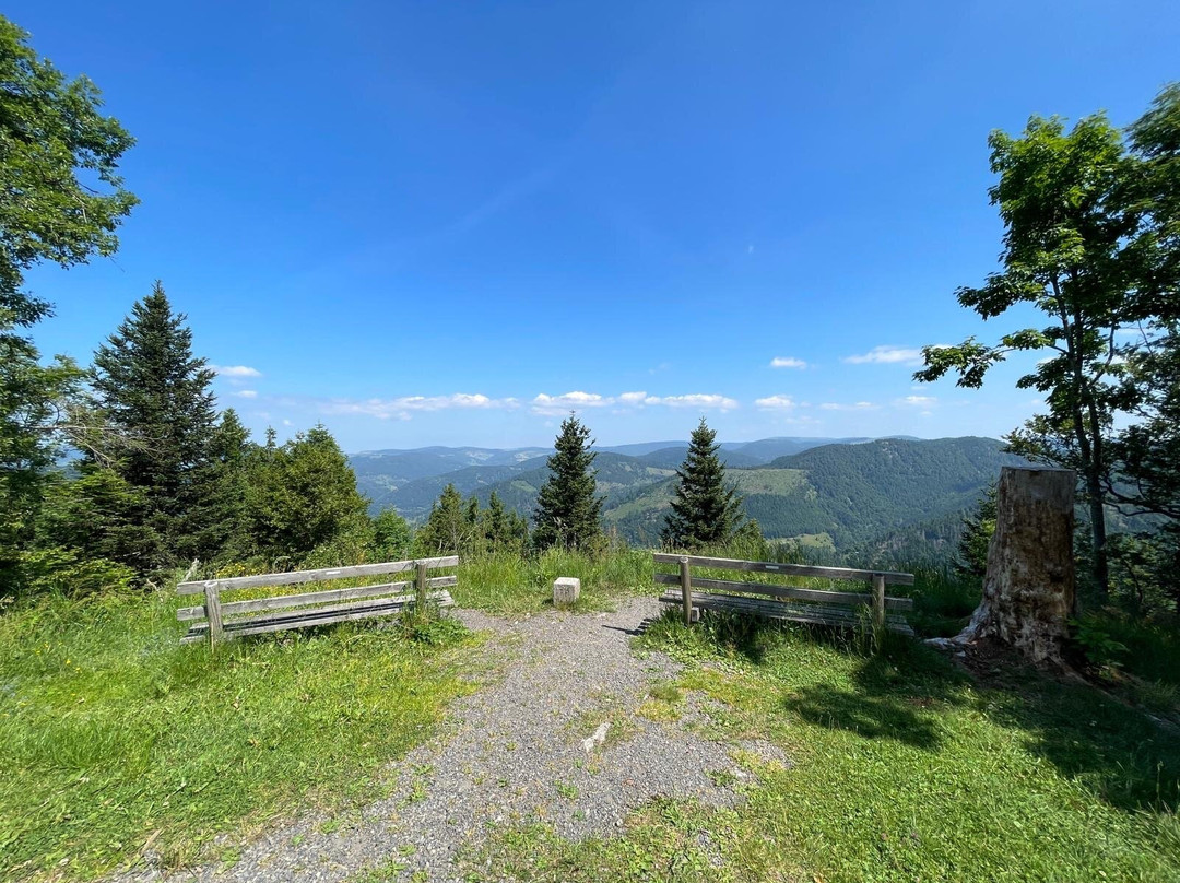 Hochkopfturm-托特瑙必去景点