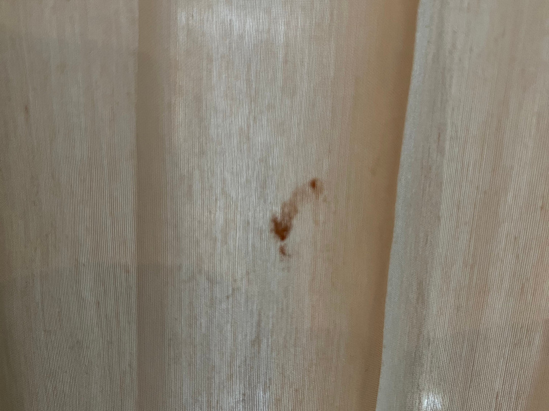 贝德福德天鹅宾馆酒店主图