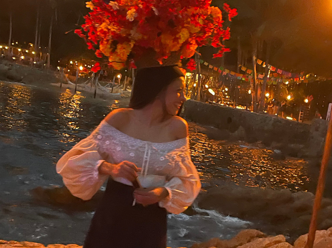 Rhythms of the Night by Vallarta Adventures-瓦拉塔港必去景点