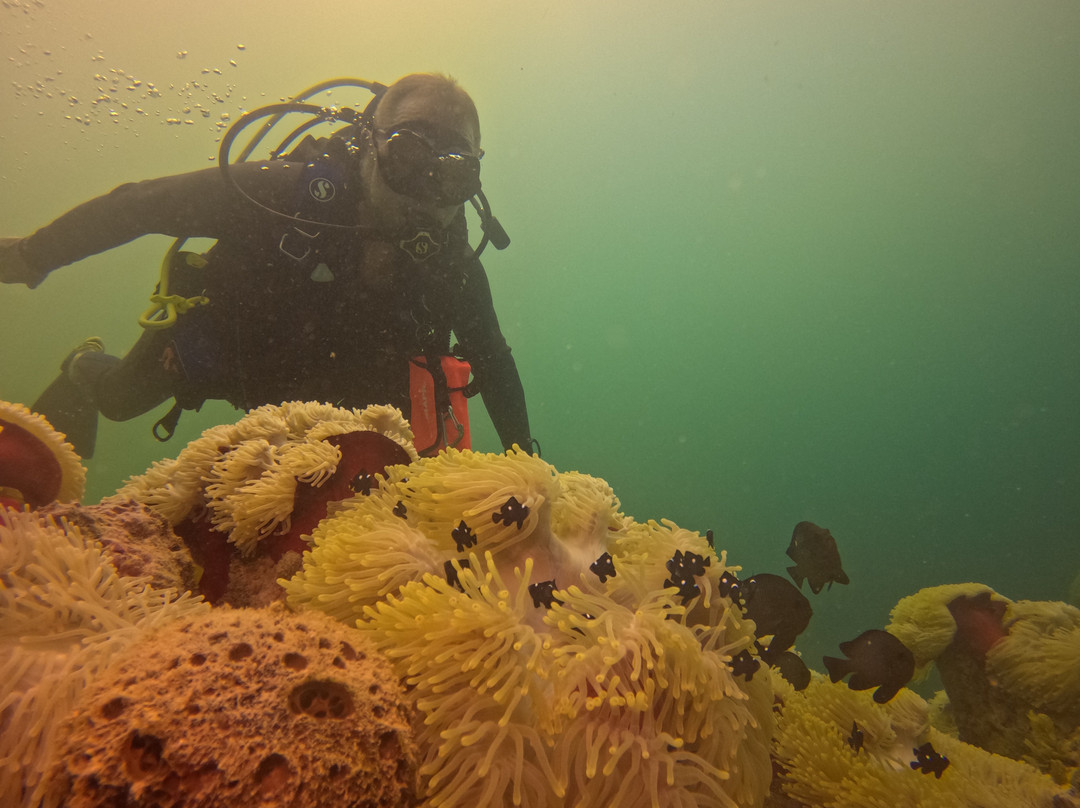 Scuba World Diving Mauritius-马喜埔必去景点