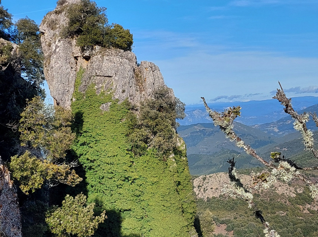 Sardegna Nascosta-Oliena必去景点