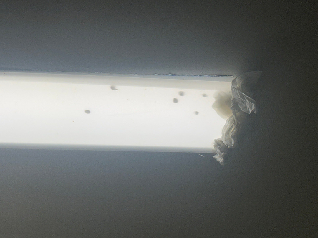 SpringHill Suites by Marriott Jackson主图