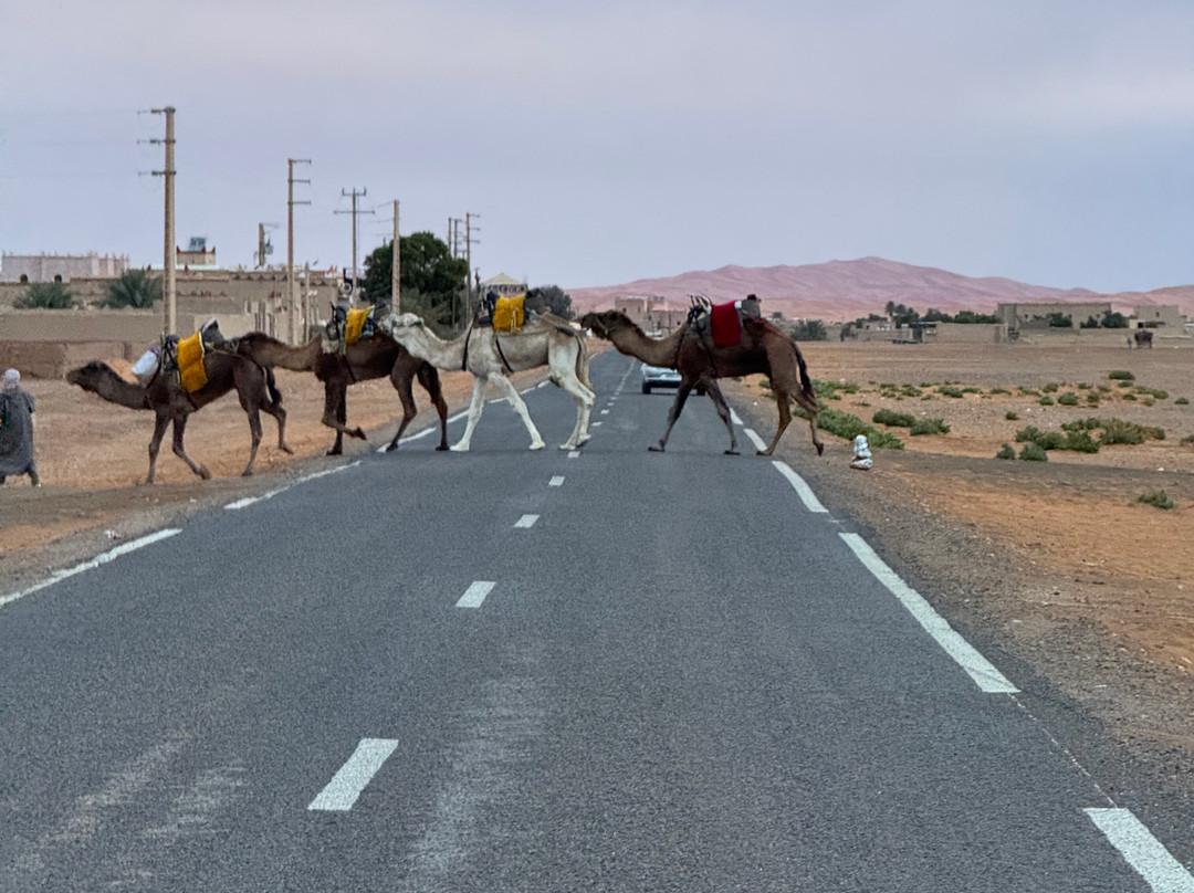 Morocco Cheap Travel-马拉喀什必去景点