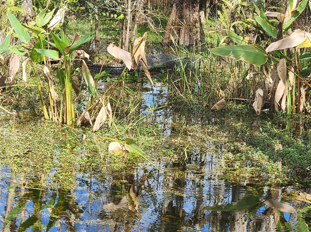 Loop Road-奥乔皮必去景点